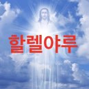 제제문구점 | 야호