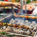 호치민 야시장 이미지