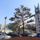 경안근린공원 농구장