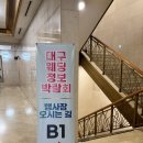 호주 시드니&멜버른 신혼여행 허니문팩토리 계약 후기