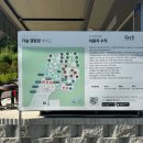 더숲캠핑장 | 프라이빗한 개미굴 모양 춘천 더숲캠핑장 명당 장단점