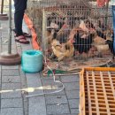 오산천 자전거대여소 | 오산천 자전거 타기 | 동탄여울공원 배드민턴 치기...한우차돌박이 | 한우업진살 | 한우안창살 먹은 후기