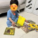 자연생각 | 자연동화책내돈내산후기.생각콩콩자연동화책으로 육아하기