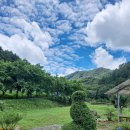 아리숲펜션 이미지