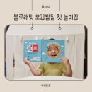 하루 10분 블루래빗 첫 놀잇감으로 오감발달 극대화