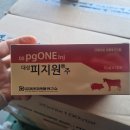 (주)대성미생물연구소 이미지