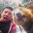 마천시장 이미지