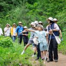 맑은환경 이미지