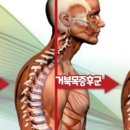 한울 태권도 아카데미 이미지