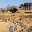 공설공원묘지 이미지