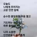 홍익가족여행사