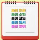 더한솔 이미지