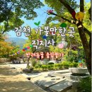 95 | 김천 가볼만한 곳 직지사 애견동반 불가 김천 당일치기 여행