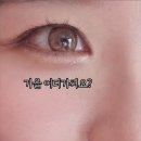 메이플안경원 이미지