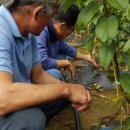 덕화농장2 이미지