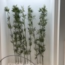 비 해피 휘트니스 이미지