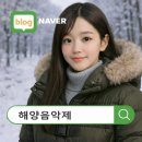 부산클래식음악제5 | 🌊 부산의 바다에서 울려 퍼지는 해양음악제 일정 정리