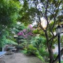 하얀둥지도브펜션 이미지