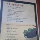 서오릉다슬기 이미지