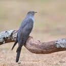 정왕체육공원2 이미지