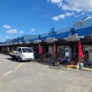 석포리선착장 이미지