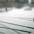 개나리낚시공원 이미지