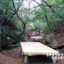 수정탕 이미지