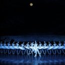 유니버설발레단 <백조의 호수> 이미지