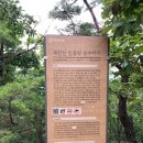 족향 이미지