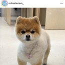 리프레쉬룸2 이미지