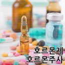 종로-종로-종로-종-335 | 경희기린한의원 자궁근종증상 잘관리하는 한의원입니다