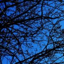 유엔기념공원주차장 이미지