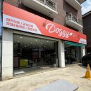 미용하는 훈련사 | 일산 애견미용 도기샾ㅣ토이푸들 모리 미용하는 날