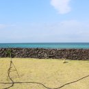 쉴만한 펜션 이미지