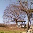 나무작은도서관 이미지