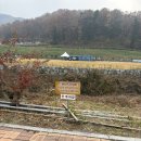 용인 송골매 패러글라이딩 솔직후기, 내돈내산
