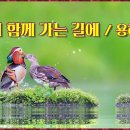 온나인