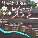 강서 낙동강변 30리 벚꽃길 : 환상적인 봄나들이 이미지
