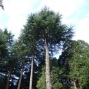 법기수원지 이미지