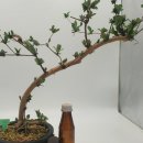 인동농장 이미지