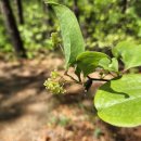 북부동 등산로 이미지