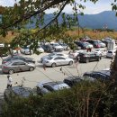 모악산참모싯잎송편 이미지