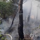 대원3리 이미지