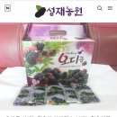 성재농원 이미지