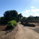 삼달1리 이미지