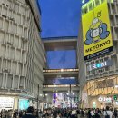 델라레브 | 도쿄쇼핑 디즈니스토어 시부야점 굿즈 사진에 싹 다 담아옴