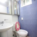 경북대 담장쪽 이미지