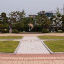 수원-0100 Daum카페