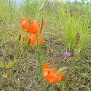 능선목장 이미지