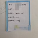 11650-16-39-1 | 39주 자연분만으로 시작 제왕절개로 끝난 출산후기